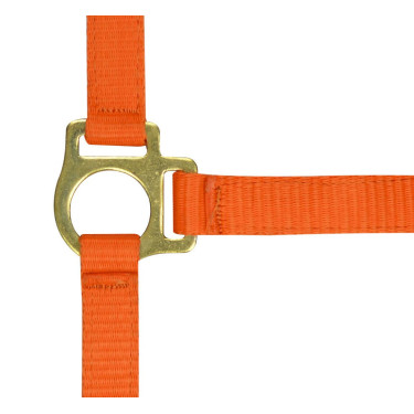 Nylon-Fohlenhalfter Orange Nylon-Fohlenhalfter Orange
