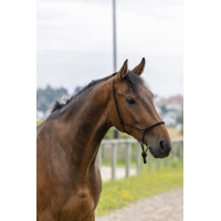 Ethologisches Halfter Seil Fein Schwarz