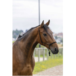 Ethologisches Halfter Seil Fein Schwarz