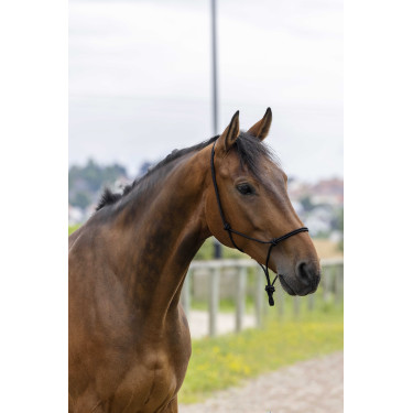 Ethologisches Halfter Seil Fein Schwarz
