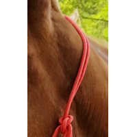 Ethologisches Halfter Seil Fein Beige