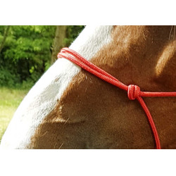 Ethologisches Halfter Seil Fein Rot Ethologisches Halfter Seil Fein Rot