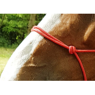 Ethologisches Halfter Seil Fein Rot Ethologisches Halfter Seil Fein Rot