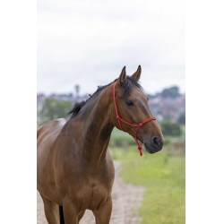 Ethologisches Halfter Seil Fein Rot Ethologisches Halfter Seil Fein Rot