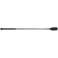 Springgerte Whip & Go Jumping Braun