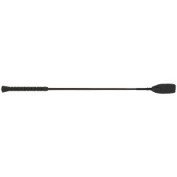 Springgerte Whip & Go Jumping Braun