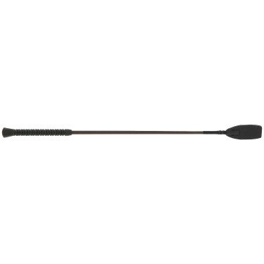 Springgerte Whip & Go Jumping Braun