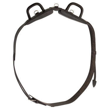 Voltigiergurt Norton Club mit geschlossenen Griffen Voltigiergurt Norton Club mit geschlossenen Griffen