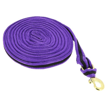 Gepolsterte Arbeitslonge Jumptec Violett / Schwarz Lila