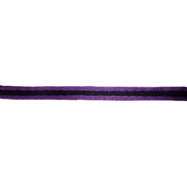 Gepolsterte Arbeitslonge Jumptec Violett / Schwarz Lila