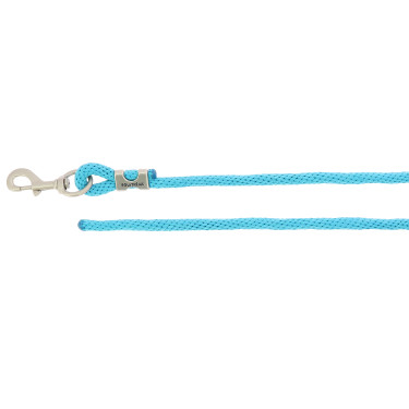Longierleine Equithème Türkis Blau