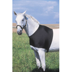 Schulterschutz Equithème