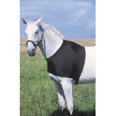 Schulterschutz Equithème