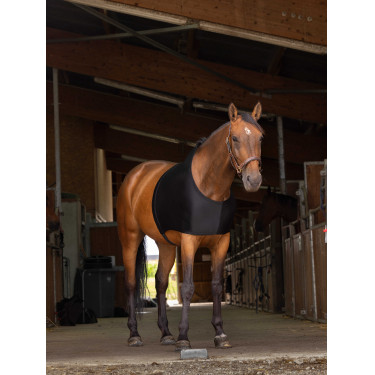 Schulterschutz Equithème