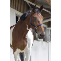 Erstes Halfter Rot Erstes Halfter Rot