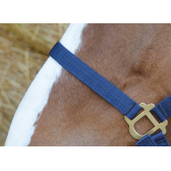 Erstes Halfter Erstes Halfter