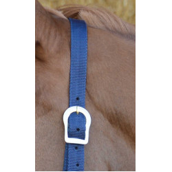 Erstes Halfter Erstes Halfter