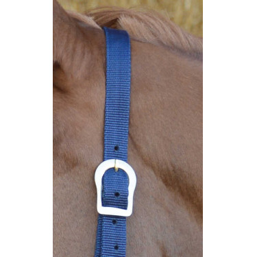 Erstes Halfter Erstes Halfter