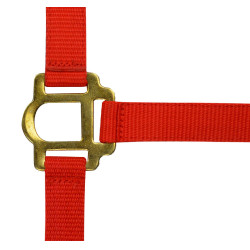 Erstes Halfter Rot