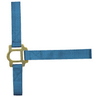 Nylonhalfter doppellagig mit Schnallenverschlüssen Norton Türkis Blau