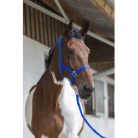 Halfter- und Führstrick-Set Club Fuchsie Rosa