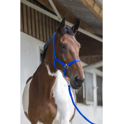 Halfter- und Führstrick-Set Club Königsblau