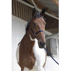 Halfter- und Führstrick-Set Club Marineblau Halfter- und Führstrick-Set Club Marineblau