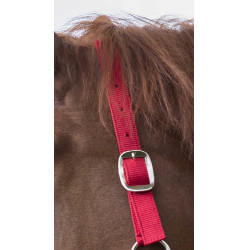 Halfter- und Führstrick-Set Club Rot Halfter- und Führstrick-Set Club Rot