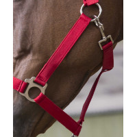 Halfter- und Führstrick-Set Club Rot Halfter- und Führstrick-Set Club Rot