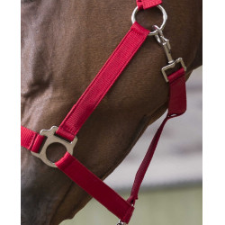 Halfter- und Führstrick-Set Club Rot Halfter- und Führstrick-Set Club Rot