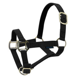 Nylonhalfter mit Leder unterlegt Norton Schwarz