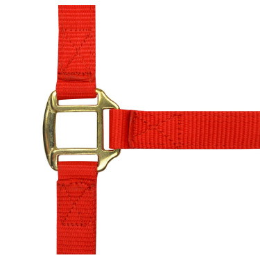 Nylonhalfter mit Leder unterlegt Norton Rot