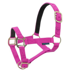 Nylonhalfter mit Leder unterlegt Norton Fuchsie Rosa