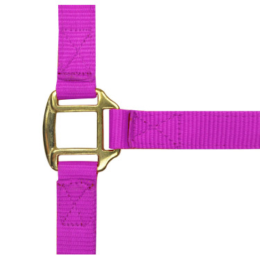 Nylonhalfter mit Leder unterlegt Norton Fuchsie Rosa