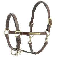 Lederhalfter Grooming Eric Thomas Pro Havanna Braun