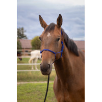 Weiches Knotenhalfter Schwarz