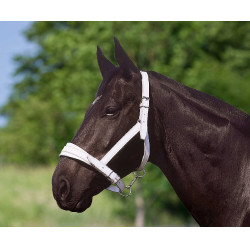 Genickstück Norton Club aus verchromtem Leder Genickstück Norton Club aus verchromtem Leder