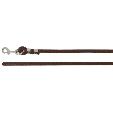 Longe mit Befestigung Norton Bright Braun