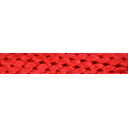 Longe mit Befestigung Norton Bright Rot