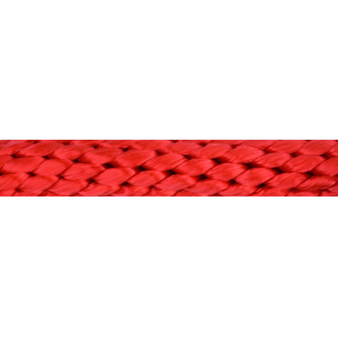 Longe mit Befestigung Norton Bright Rot