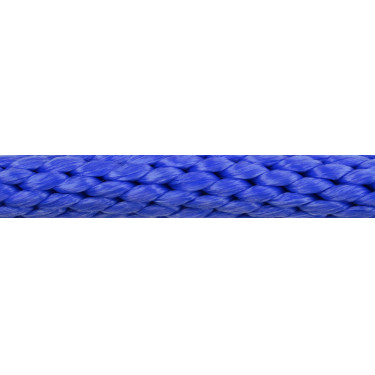 Longe mit Karabinerhaken Norton Bright Sicherheit Blau