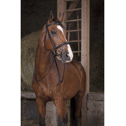 Gummizügel Norton Pro Schwarz