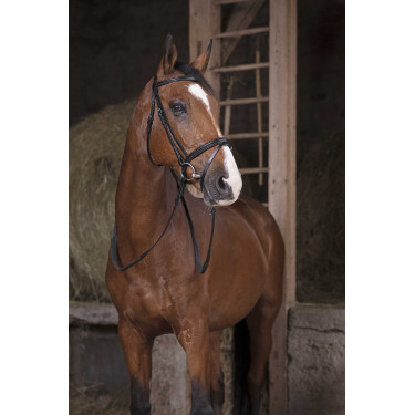 Gummizügel Norton Pro Schwarz