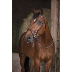 Gummizügel Norton Pro Havanna Braun