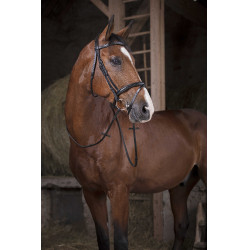 Gummizügel Norton Pro 16 mm Schwarz