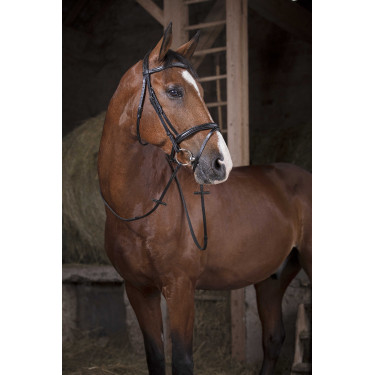 Gummizügel Norton Pro 16 mm Schwarz