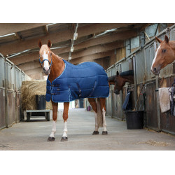 Stalldecke Riding World Marine / Himmelblau