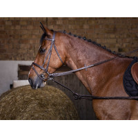 Gummizügel Riding World Havanna Braun