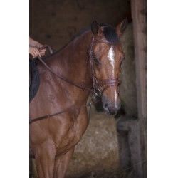 Elastische Kurzvorderzeug / Norton Pro Umlenkrollen Havanna Braun Elastische Kurzvorderzeug / Norton Pro Umlenkrollen Havanna Braun