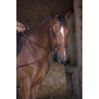 Elastische Kurzvorderzeug / Norton Pro Umlenkrollen Havanna Braun Elastische Kurzvorderzeug / Norton Pro Umlenkrollen Havanna Braun